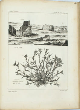 Voyage de M. P. S. Pallas, en différentes provinces de l’Empire de Russie et dans l’Asie septentrionale
. PALLAS (P. S.).