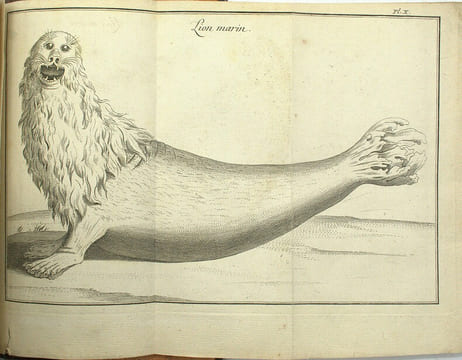 Histoire d'un voyage aux Isles Malouines, fait en 1763 & 1764 ; avec des observations sur le Détroit de Magellan, et sur les Patagons.
. PERNETY, ...