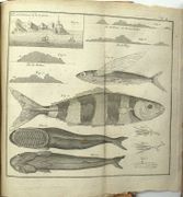 Image de livre