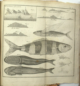 Histoire d'un voyage aux Isles Malouines, fait en 1763 & 1764 ; avec des observations sur le Détroit de Magellan, et sur les Patagons.
. PERNETY, ...