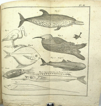 Histoire d'un voyage aux Isles Malouines, fait en 1763 & 1764 ; avec des observations sur le Détroit de Magellan, et sur les Patagons.
. PERNETY, ...