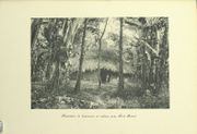 Image de livre