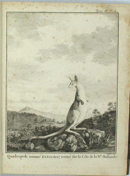 Relation des voyages entrepris par ordre de sa majesté britannique, …. et successivement exécutés par le Commodore Byron, le Capitaine Carteret, le ...