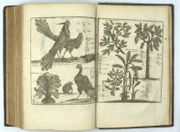 Image de livre