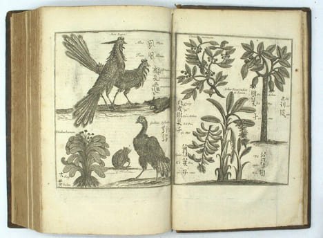 Relation de divers voyages curieux qui n'ont point esté publiées, et qu’on a traduit ou tiré des originaux des voyageurs François, Espagnols, ...