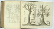 Image de livre