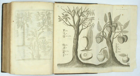Relation de divers voyages curieux qui n'ont point esté publiées, et qu’on a traduit ou tiré des originaux des voyageurs François, Espagnols, ...