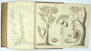 Image de livre