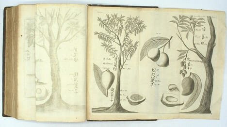Relation de divers voyages curieux qui n'ont point esté publiées, et qu’on a traduit ou tiré des originaux des voyageurs François, Espagnols, ...