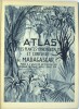 Atlas des plantes ornementales et curieuses de Madagascar

. LOUVEL (Modeste)

