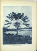 Image de livre