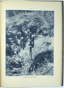 Image de livre