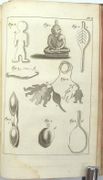 Voyage de C.P. Thunberg au Japon, Par le Cap de Bonne-Espérance, les îles de la Sonde, &c. Traduits, rédigés et augmentés de notes considérables sur la Religion, le Gouvernement, le Commerce, l’Industrie et les Langues de ces différentes contrées, particulièrement sur le Javan et le Malai.
 par THUNBERG (Carl Peter)

 - Image 5
