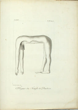 Voyage dans la Haute et Basse Egypte, fait par ordre de l'ancien gouvernement, et contenant des observations de tous Genres…
. SONNINI (de ...
