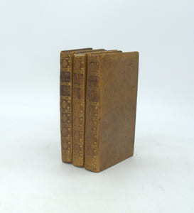 Nouveau Voyage Autour du Monde, en Asie, en Amérique et Afrique en 1788, 1789 et 1790, précédé d'un voyage en Italie et en Sicile en 1787 : avec un recueil de tout ce que les voyageurs ont publié de plus curieux sur toutes les parties du globe. 
