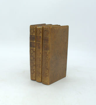 Nouveau Voyage Autour du Monde, en Asie, en Amérique et Afrique en 1788, 1789 et 1790, précédé d'un voyage en Italie et en Sicile en 1787 : avec un ...