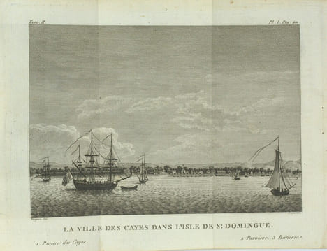 Nouveau Voyage Autour du Monde, en Asie, en Amérique et Afrique en 1788, 1789 et 1790, précédé d'un voyage en Italie et en Sicile en 1787 : avec un ...