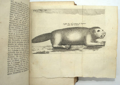 Nouveaux Voyages de Mr le Baron de LAHONTAN dans l'Amérique septentrionale, qui contient une relation des differens peuples qui y habitent ; la nature de leur gouvernement ; leur commerce, leurs coutumes, leur religion, & leur maniere de faire la guerre [...]. --Mémoires de l'Amérique septentrionale, ou la Suite des Voyages deMr le baron de LAHONTAN qui contiennent la description d'une grande étendüe de païs de ce continent [...].

