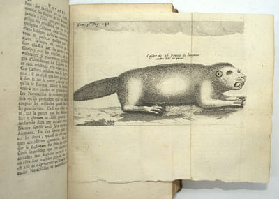 Nouveaux Voyages de Mr le Baron de LAHONTAN dans l'Amérique septentrionale, qui contient une relation des differens peuples qui y habitent ; la nature de leur gouvernement ; leur commerce, leurs coutumes, leur religion, & leur maniere de faire la guerre [...]. --Mémoires de l'Amérique septentrionale, ou la Suite des Voyages deMr le baron de LAHONTAN qui contiennent la description d'une grande étendüe de païs de ce continent [...].

