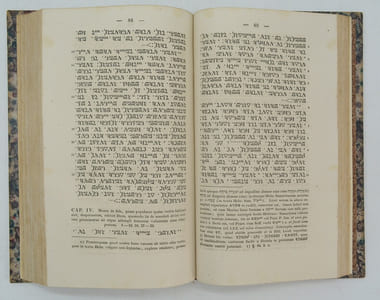 Institutiones linguae Samaritanae. Ex antiquissimis monumentis erutae et digestae, integris paradigmatum tabulis indicibusque adornatae ; quibus accedit Chrestomathia Samaritana maximam Geneseos partem et selecta reliquorum Pentateuchi librorum capita complectens, notis criticis exegeticis illustrata et Glossario locupletata
