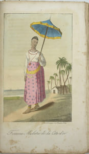 Nouveau Voyage dans l'intérieur de l'Afrique ou Relation de l'Ambassade Anglaise envoyée, en 1820, au Royaume d'Ashantée, ouvrage contenant des renseignements sur le cours du Niger et sur quelques autres Fleuves de l'Afrique Centrale. Traduit de l'anglais par le Chevalier Thorel de la Trouplinière.. 
