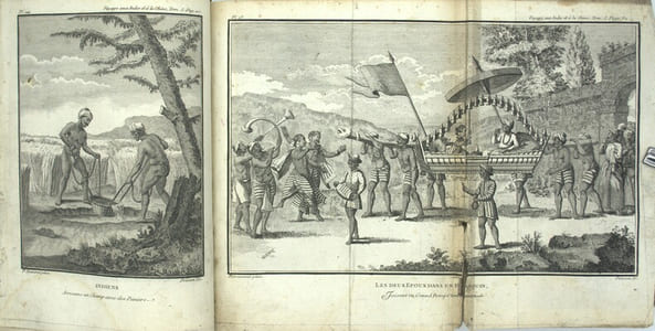 Voyage aux Indes orientales et à la Chine, fait par ordre du Roi, depuis 1774 jusqu'en 1781 : Dans lequel on traite des Mœurs, de la Religion, des Sciences & des Arts des Indiens, des Chinois, des Pégouins & de Madégasses ; suivi d’Observations sur le Cap de Bonne-Espérance, les Isles de France & de Bourbon, les Maldives, Ceylan, Malacca, les Philippines, & les Moluques & de Recherches sur l’Histoire Naturelle de ces Pays. TOME 1 seul