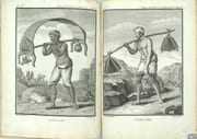 Voyage aux Indes orientales et à la Chine, fait par ordre du Roi, depuis 1774 jusqu'en 1781 : Dans lequel on traite des Mœurs, de la Religion, des Sciences & des Arts des Indiens, des Chinois, des Pégouins & de Madégasses ; suivi d’Observations sur le Cap de Bonne-Espérance, les Isles de France & de Bourbon, les Maldives, Ceylan, Malacca, les Philippines, & les Moluques & de Recherches sur l’Histoire Naturelle de ces Pays. TOME 1 seul par SONNERAT, Pierre - Image 8