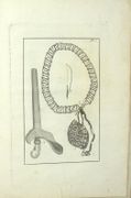 Voyages au Japon, par le Cap de Bonne-Espérance, les Isles de la Sonde, &c. Traduits, rédigés et augmentés (...) par L. Langles (...) et revu par J. B. Lamarck. Tome 1 seul.
 par THUNBERG (Carl Peter), LANGLÉS (L. Trad.), LAMARCK (J.B.)
  - Image 3