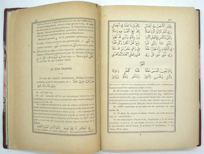 Manuel pour l'étude des Grammairiens Arabes. La’ Alfiyyah D'Ibnu-Malik suivie de la Lâmiyyah du même auteur avec traduction et notes en français et un lexique des termes techniques. 

