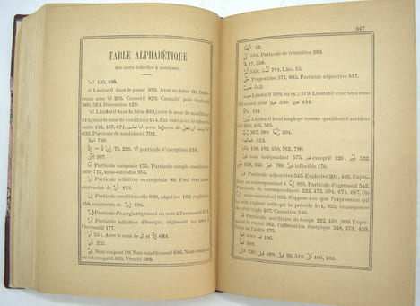 Manuel pour l'étude des Grammairiens Arabes. La’ Alfiyyah D'Ibnu-Malik suivie de la Lâmiyyah du même auteur avec traduction et notes en français et un ...