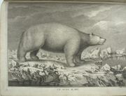 Troisième Voyage de Cook, ou voyage à l’Océan Pacifique, ordonné par le Roi d’Angleterre, pour faire des Découvertes dans l’Hémisphère Nord, … Exécuté sous la direction des capitaines Cook, Clerke & Gore, sur les vaisseaux la « Résolution » & la « Découverte », en 1776, 1777, 1778, 1779 & 1780 ». TOME 4 Seul.

 by COOK, Capitaine James

 - Image 5