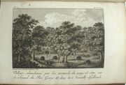 Voyage de découvertes, à l’océan Pacifique nord, et autour du monde, entrepris par ordre de sa majesté Britannique, exécuté, pendant les années 1790, 1791, 1792, 1793, 1794 et 1795, par le capitaine George Vancouver. Traduit de l’Anglais par P.F. Henry. ATLAS Seul. 

 par VANCOUVER George. 

 - Image 3