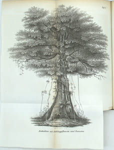 Briefe über Alexander von Humboldt’s Kosmos.
