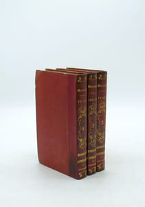 Voyage historique, littéraire et pittoresque dans les isles et possessions ci-devant vénitiennes du Levant ; savoir : Corfou, Paxo, Bucintro, Parga, Prevesa, Vonizza, Sainte-Maure, Thiaqui, Cephalonie, Zante. Texte seul

