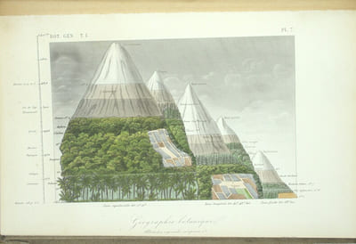 Traité de botanique générale. Texte & Atlas
