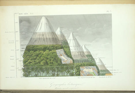 Traité de botanique générale. Texte & Atlas
. HÉRINCQ (F.), GÉRARD (F.) et RÉVEIL (O).