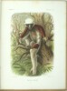 Histoire physique, naturelle et politique de Madagascar. Zoologie. 
. GRANDIDIER (Alfred), MILNE EDWARDS (Alphonse)
