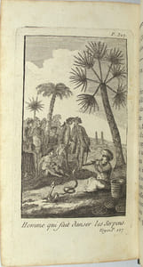Essais historiques sur l'Inde, précédés d'un journal de voyages et d'une description géographique de la côte de Coromandel
