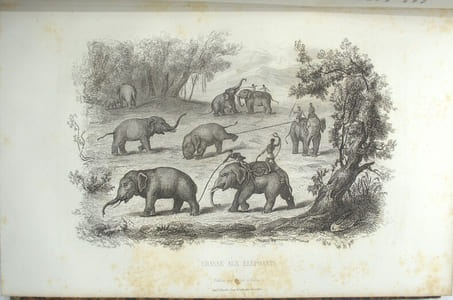 Histoire générale des voyages, Voyage autour du monde.