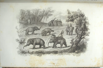 Histoire générale des voyages, Voyage autour du monde.

