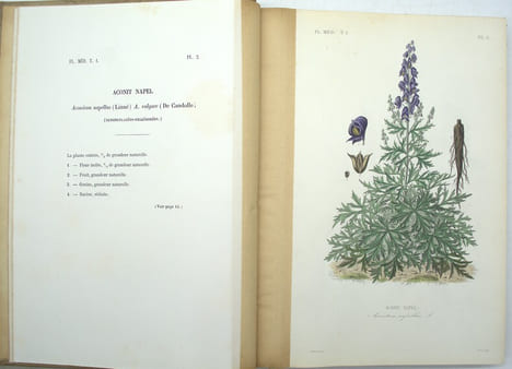 Flore Médicinale Usuelle et Industrielle du XIXe siècle, Atlas iconographique du tome 1 & 2
. DUPUIS (A), RÉVEIL (O), BAILLON (Docteur).