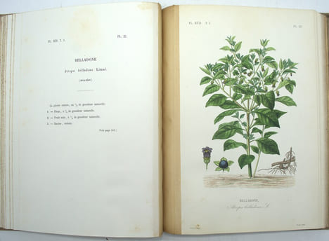 Flore Médicinale Usuelle et Industrielle du XIXe siècle, Atlas iconographique du tome 1 & 2
. DUPUIS (A), RÉVEIL (O), BAILLON (Docteur).