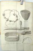 Voyage au Cap de Bonne-Espérance, et autour du monde avec le capitaine Cook. et principalement dans les pays des Hottentots et des Caffres.

 par SPARRMAN, André.

 - Image 4