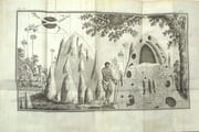 Voyage au Cap de Bonne-Espérance, et autour du monde avec le capitaine Cook. et principalement dans les pays des Hottentots et des Caffres.

 par SPARRMAN, André.

 - Image 7