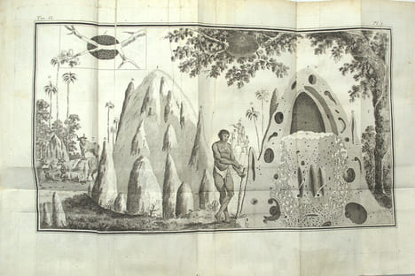 Voyage au Cap de Bonne-Espérance, et autour du monde avec le capitaine Cook. et principalement dans les pays des Hottentots et des Caffres.
. ...