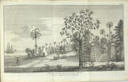 Voyage autour du monde fait dans les années 1740-1744, par G. Anson, commandant en chef d'une escadre envoyée par sa majesté britannique dans la mer du Sud, Tiré des journaux et autres papiers de ce seigneur, et publié par Richard Walter…. & Voyage à la mer du Sud, fait par quelques officiers commandants le vaisseau le Wager, pour servir de suite au voyage de Georges Anson. Traduit de l’anglois.

 par ANSON, Lord George

 - Image 6