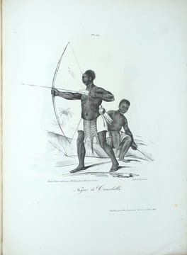 Voyage au Congo et dans l'intérieur de l'Afrique Equinoxiale, fait pendant les années 1828, 1829 et 1830.
. DOUVILLE (J.-B.).
