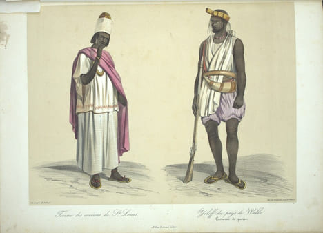 Voyage dans l'Afrique Occidentale comprenant l'exploration du Sénégal depuis Saint-Louis jusqu'à Falémé, au-delà de Bakel ; de la Falémé‚ depuis son ...