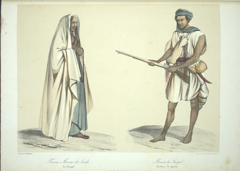 Voyage dans l'Afrique Occidentale comprenant l'exploration du Sénégal depuis Saint-Louis jusqu'à Falémé, au-delà de Bakel ; de la Falémé‚ depuis son ...