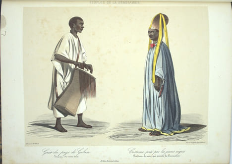 Voyage dans l'Afrique Occidentale comprenant l'exploration du Sénégal depuis Saint-Louis jusqu'à Falémé, au-delà de Bakel ; de la Falémé‚ depuis son ...